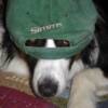 Peaking out from under Dad's hat ,,,, you can't see me :-)